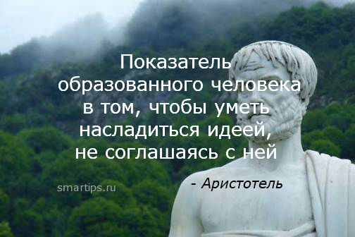 Благородный человек предъявляет требования к себе низкий. Аристотель цитаты. Мудрые мысли Аристотеля. Аристотель цитаты о жизни. Великие фразы Аристотеля.