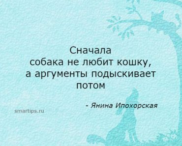 Цитаты Янина Ипохорская
