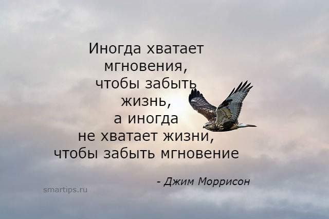 Все пройдет кроме жизни жизнь пролетит картинки