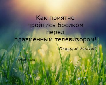 цитаты Геннадий Малкин